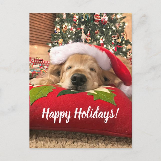 Cartes Pour Fêtes Annuelles Noël Golden Retriever Chien endormi sous arbre (Devant)