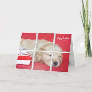 Cartes Pour Fêtes Annuelles Noël Golden Retriever Pup dans la fenêtre