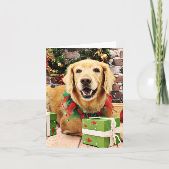 Cartes Pour Fêtes Annuelles Noël - Golden Retriever - Stryder (Devant)