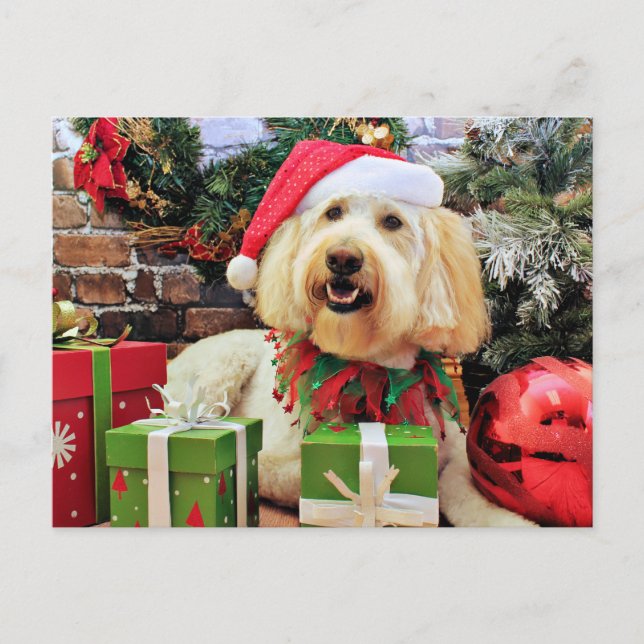 Cartes Pour Fêtes Annuelles Noël - GoldenDoodle - Bella (Devant)