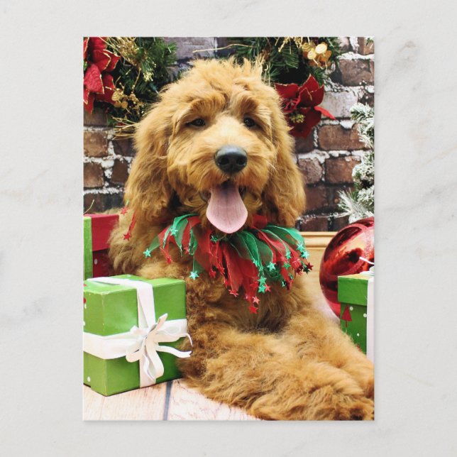 Cartes Pour Fêtes Annuelles Noël - GoldenDoodle - Claire (Devant)