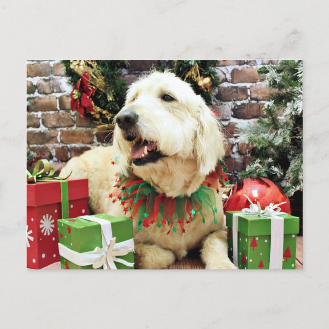 Cartes Pour Fêtes Annuelles Noël - GoldenDoodle - Lacey (Devant)