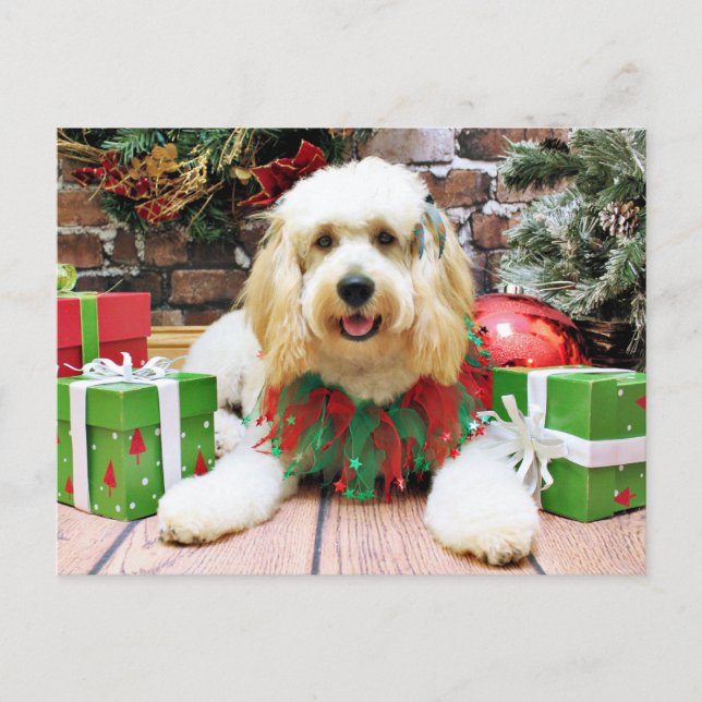 Cartes Pour Fêtes Annuelles Noël - GoldenDoodle - Mazey (Devant)