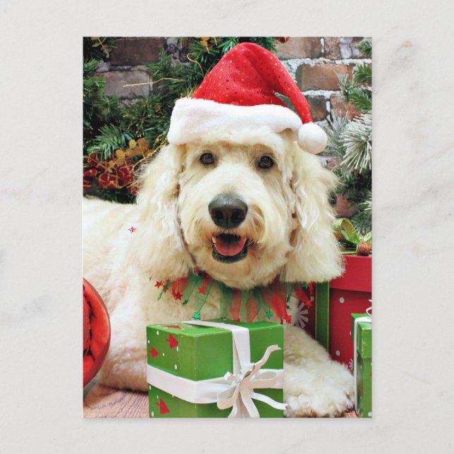 Cartes Pour Fêtes Annuelles Noël - GoldenDoodle - Peyton (Devant)