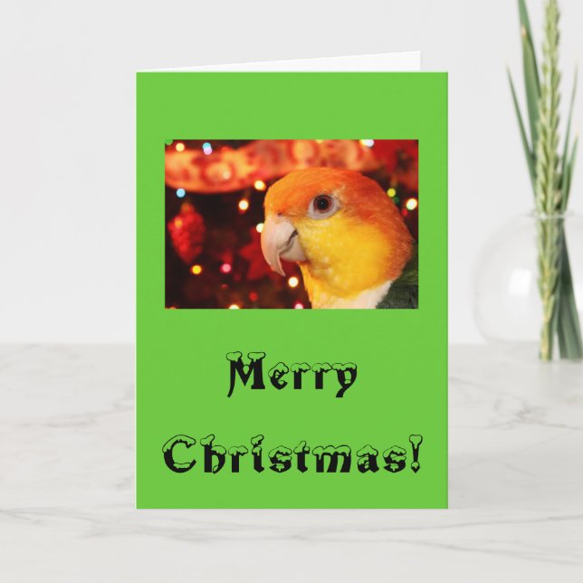 Cartes Pour Fêtes Annuelles Noël gonflé par blanc de perroquet de caïque (Devant)