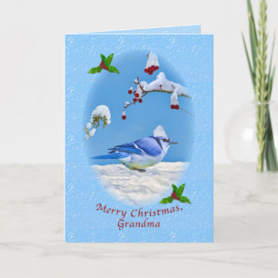 Cartes Pour Fêtes Annuelles Noël, grand-mère, Oiseau bleu et neige