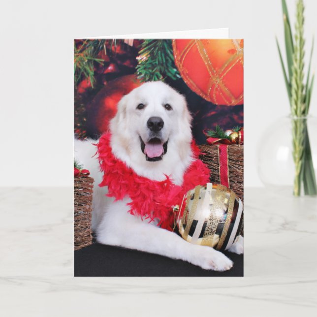 Cartes Pour Fêtes Annuelles Noël - Grands Pyrénées - Sophie (Devant)