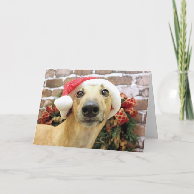 Cartes Pour Fêtes Annuelles Noël - Greyhound - Pena (Devant)