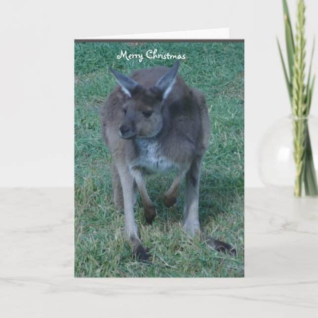 Cartes Pour Fêtes Annuelles Noël gris de kangourou (Devant)