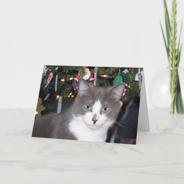 Cartes Pour Fêtes Annuelles Noël gris et blanc de minou (Devant)