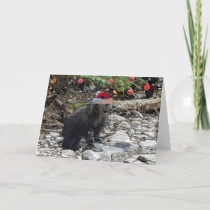 Cartes Pour Fêtes Annuelles Noël grizzli