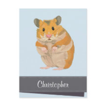 Noël Hammy