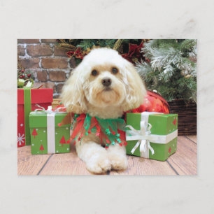 Cartes Pour Fêtes Annuelles Noël - Havanais - Mason
