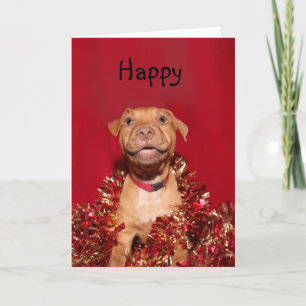 Cartes Pour Fêtes Annuelles Noël heureux de chiot de pitbull