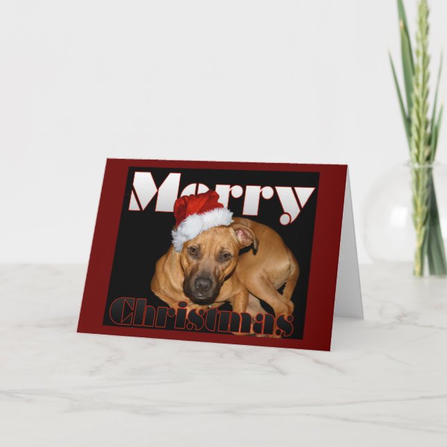 Cartes Pour Fêtes Annuelles Noël heureux de Staffy (Devant)