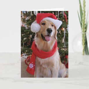 Cartes Pour Fêtes Annuelles Noël heureux d'or