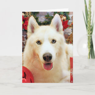 Cartes Pour Fêtes Annuelles Noël - Husky Sibérien - Portraits de Teagarden