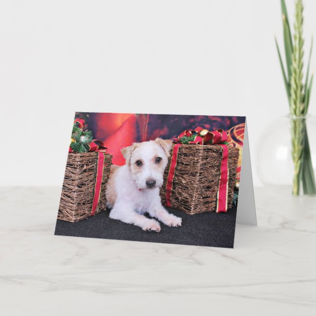 Cartes Pour Fêtes Annuelles Noël - Jack Russell - Wiley (Devant)