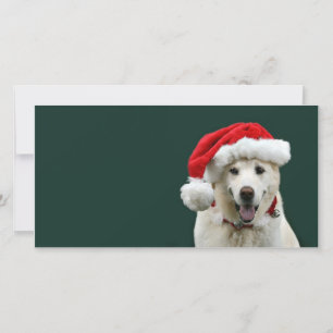 Cartes Pour Fêtes Annuelles Noël jaune de laboratoire