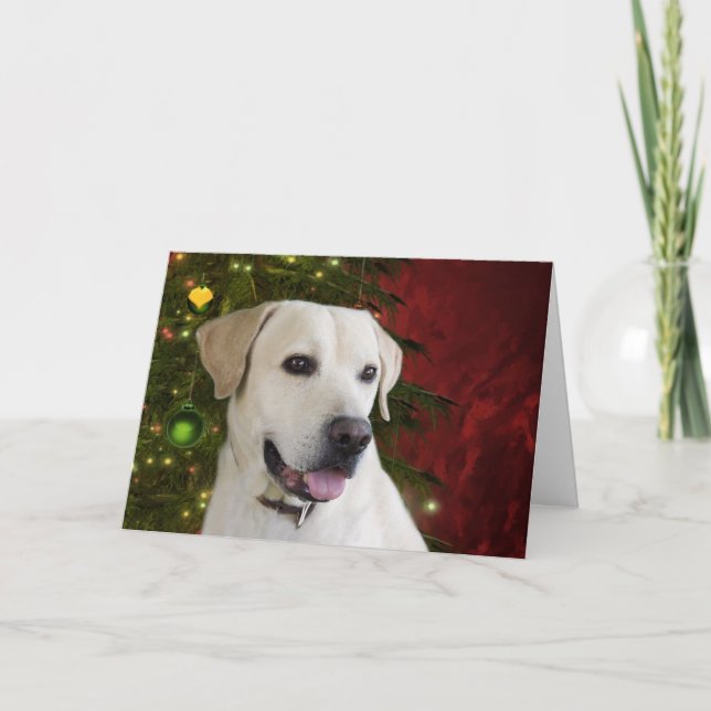 Cartes Pour Fêtes Annuelles Noël jaune de labrador retriever (Devant)