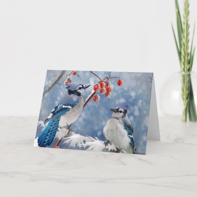 Cartes Pour Fêtes Annuelles Noël Jay bleu (Devant)