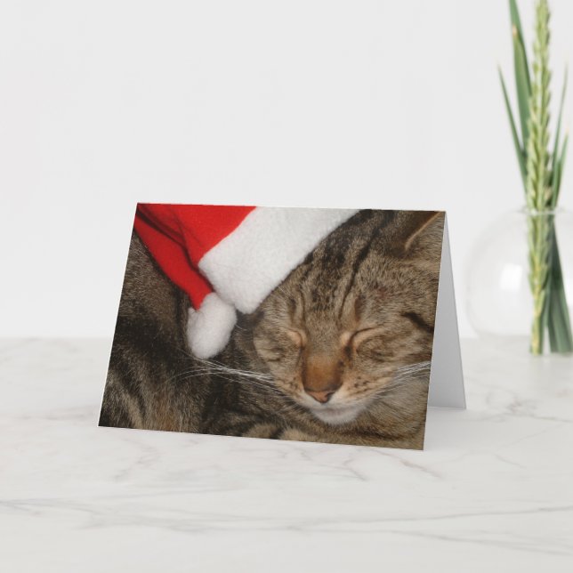 Cartes Pour Fêtes Annuelles Noël Kitty (Devant)