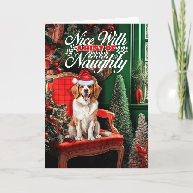 Cartes Pour Fêtes Annuelles Noël Kooikerhondje Chien Naughty ou Nice (Devant)