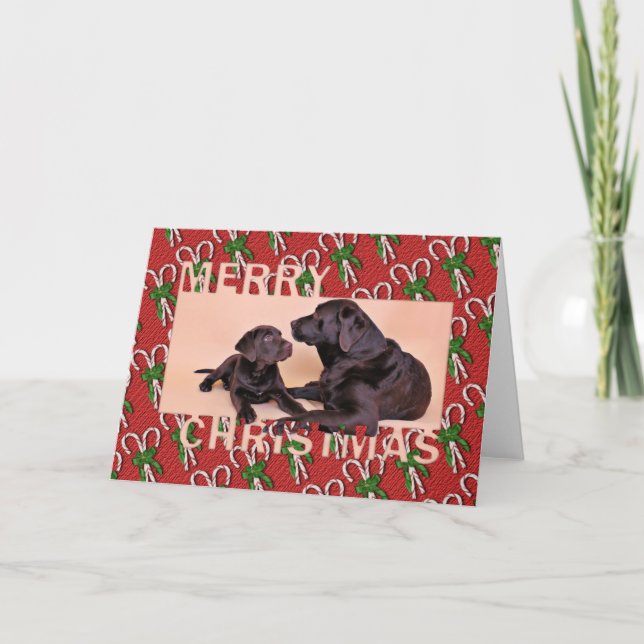 Cartes Pour Fêtes Annuelles Noël - Laboratoires de chocolat (Devant)