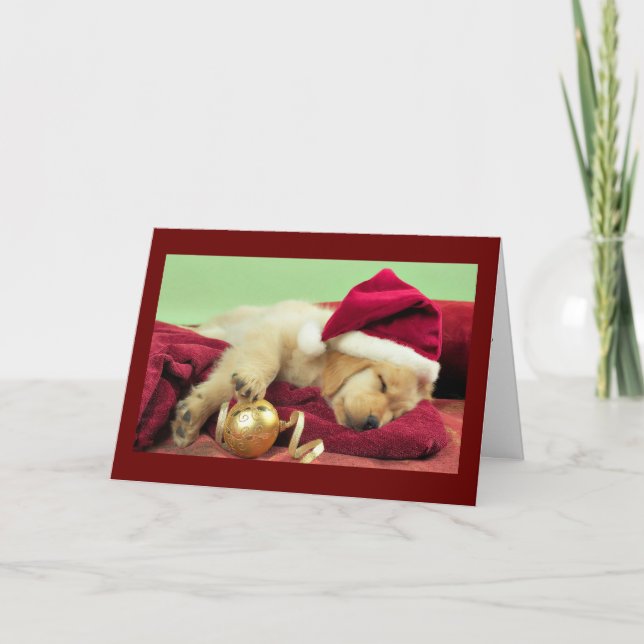 Cartes Pour Fêtes Annuelles Noël Labrador (Devant)