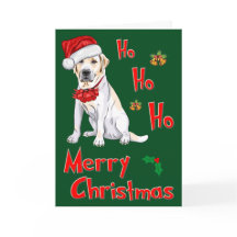 Noël Labrador
