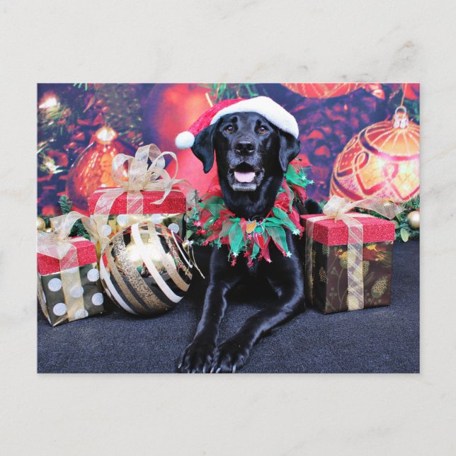 Cartes Pour Fêtes Annuelles Noël - Labrador - Cooper (Devant)