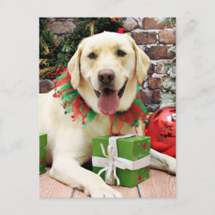 Cartes Pour Fêtes Annuelles Noël - Labrador Jaune - Strider