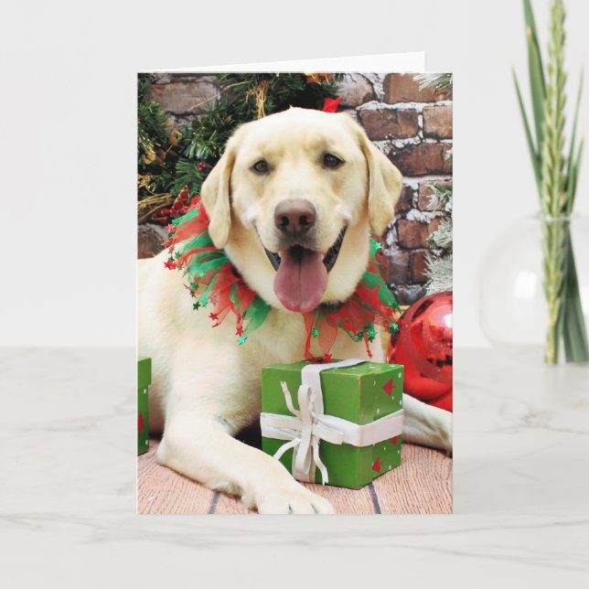 Cartes Pour Fêtes Annuelles Noël - Labrador Jaune - Strider (Devant)