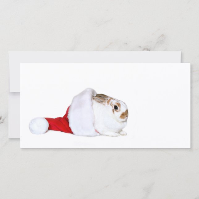 Cartes Pour Fêtes Annuelles Noël lapin (Devant)