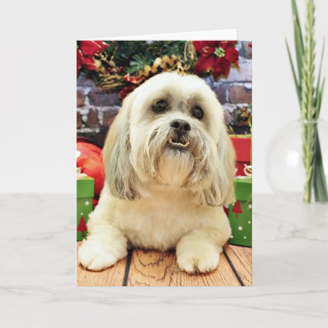 Cartes Pour Fêtes Annuelles Noël - Lhassa Apso - Solo (Devant)