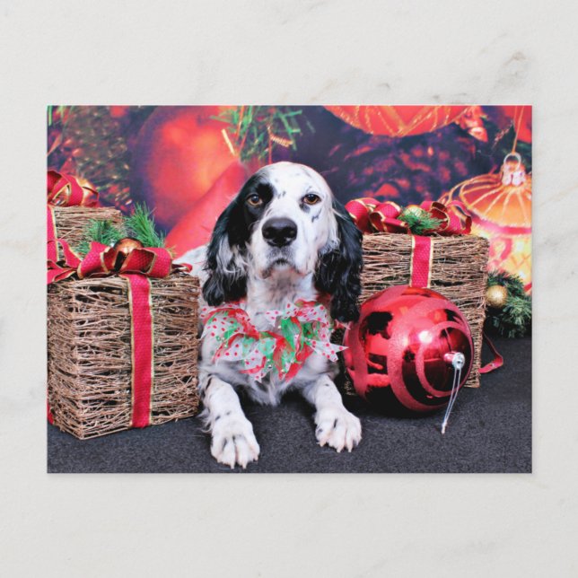 Cartes Pour Fêtes Annuelles Noël - Louellen Setter - Veruka (Devant)