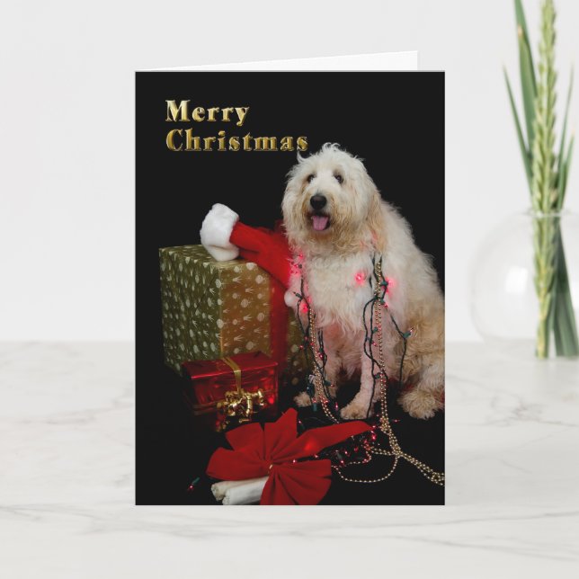Cartes Pour Fêtes Annuelles Noël - lumières d'arbre sur le chienchien (Devant)