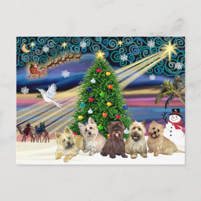 Cartes Pour Fêtes Annuelles Noël Magic Cairn Terriers (Cinq) (Devant)