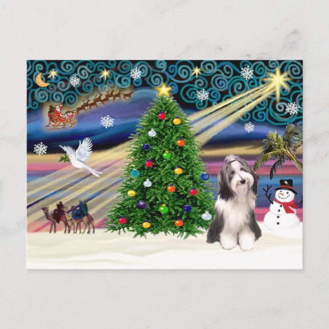 Cartes Pour Fêtes Annuelles Noël Magie Portée Collie 4 (Devant)