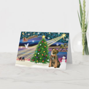 Cartes Pour Fêtes Annuelles Noël Magique Border Terrier