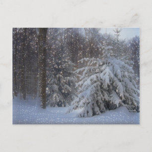 Cartes Pour Fêtes Annuelles Noël magique étoile