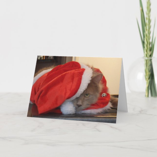 Cartes Pour Fêtes Annuelles Noël Maine Coon (Devant)