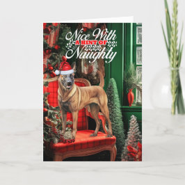 Cartes Pour Fêtes Annuelles Noël Malinois Chien Belge Naughty ou Nice