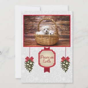 Cartes Pour Fêtes Annuelles Noël maltais