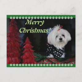 Cartes Pour Fêtes Annuelles Noël maltais