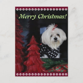 Cartes Pour Fêtes Annuelles Noël maltais