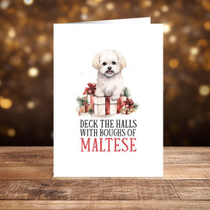 Cartes Pour Fêtes Annuelles Noël maltais amusant Joyeux Fêtes