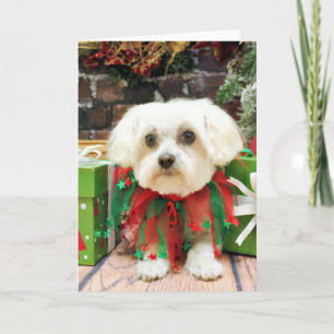 Cartes Pour Fêtes Annuelles Noël - maltais - Annie