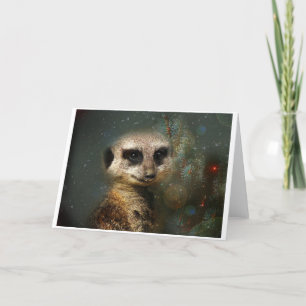 Cartes Pour Fêtes Annuelles Noël Meerkat