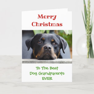 Cartes Pour Fêtes Annuelles Noël Meilleur chien grands-parents Photo